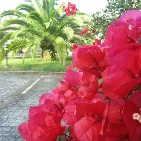 Varandas De Sao Carlos Apartment *