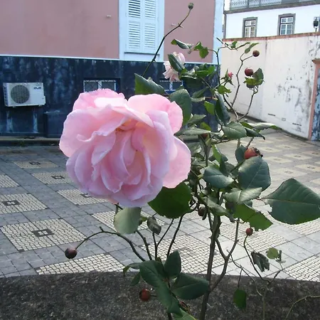 Varandas De Sao Carlos